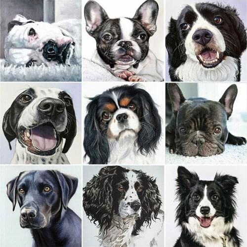 MomoArt Full Square Diamond Embroidery Dog 5D DIY Diamond Painting Animal Handmade Gift Mosaic Art Home Decorations