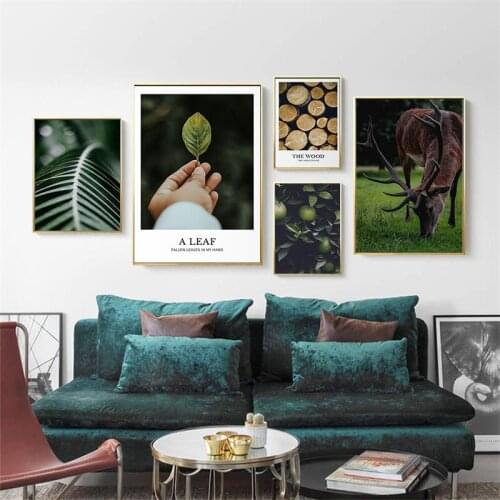 Nordic Deer Plants Wall Art Canvas Poster and Print Leaves Orange Wood Painting Modern Simple Picture for Living Room Home Decor