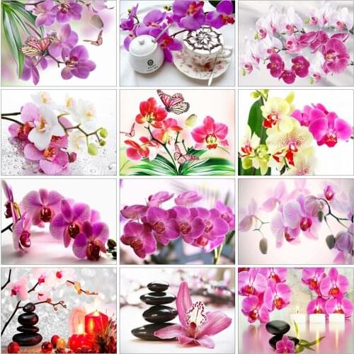 MomoArt 5D Diamond Painting Spring Orchid Cross Stitch Diamond Embroidery Full Square Drill Flower Mosaic Kits Handicraft