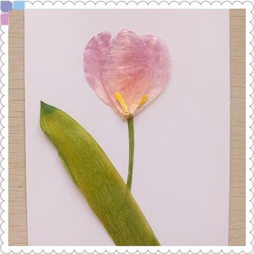 1pc Pressed Dried Yellow/Pink Tulip Flower With Leaf Plant Herbarium For Jewelry Phone Case Photo Frame Postcard Bookmark DIY