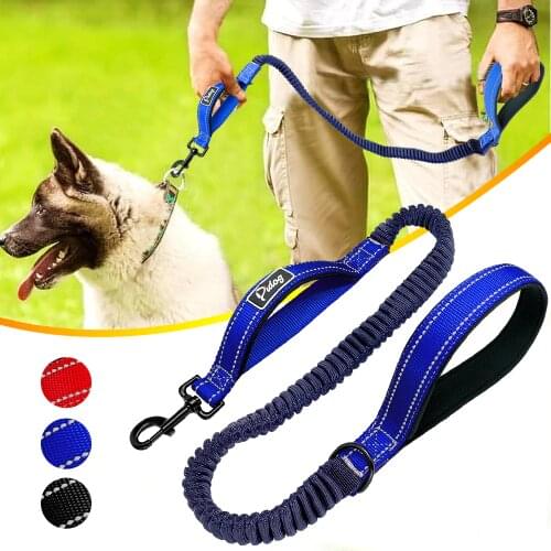 Dog Leash Reflective Nylon Bungee Dog Running Leash Lead Safety Elastic Pet Puppy Walking Training Leashes Rope Belt 2 Handles