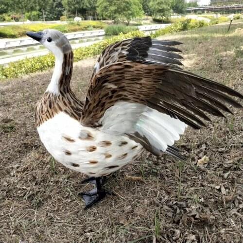 New wings duck toy foam&furs simulation wings duck home garden model gift about 35x50cm 0651