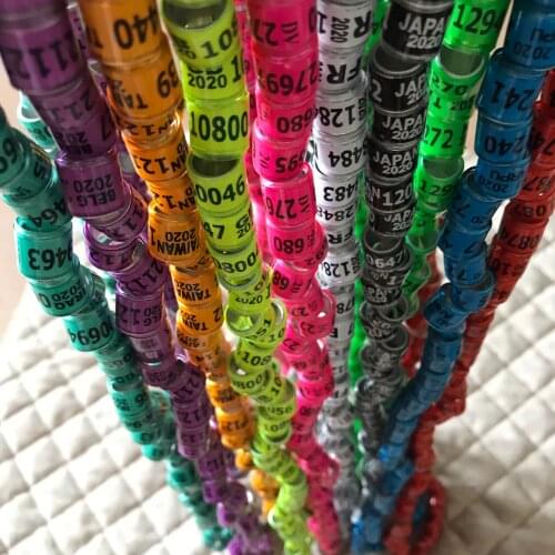 2020 pigeons training rings GB AU NL DV HKPA TAIWAN IRAQ FR BELG JAPAN COLORFUL pigeon FOOT rings bird ring 5000pcs/Lots