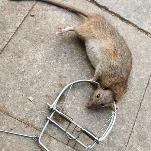 ZLinKJ Rodent Traps