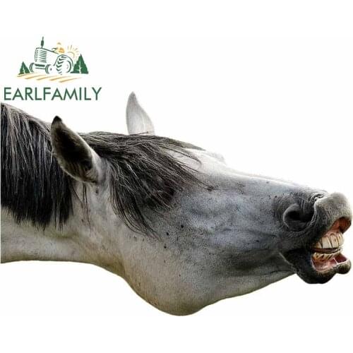 EARLFAMILY 13cm x 8.4cm for Horse Love for Animals Car Sticker Vinyl RV VAN Decoration Scratch-proof Bumper Surfboard Decal