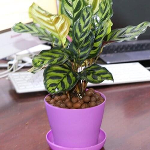 500g Multifunction Clay Ceramic Flower Pot Decoration Breathable Pot Surface Plant Decorations Waterproof Bulk Materials