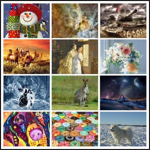 Diamond Painting Still Life Cute Snowman Starry Sky Husky Donut Kangaroo Steed Western Noble Girl Tank Flowers Hall Decor Poster