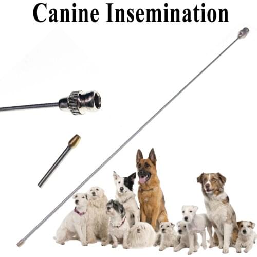 AINBO Pet Supplies