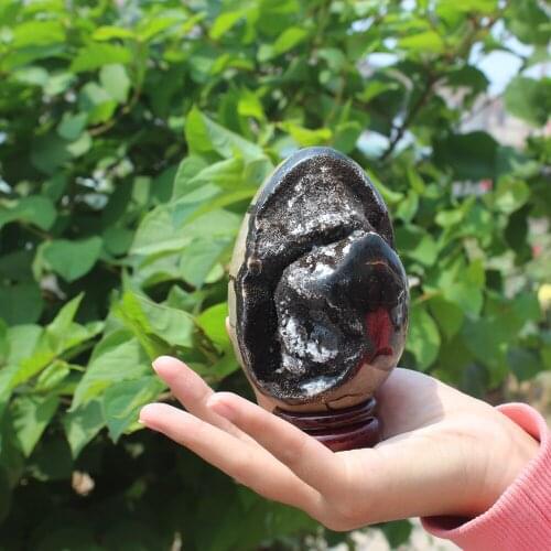 710g Natural curvature of the furnishing articles Turtle grain stone egg Ball Septarian nodule Fossil Crystal Healing quartz 48