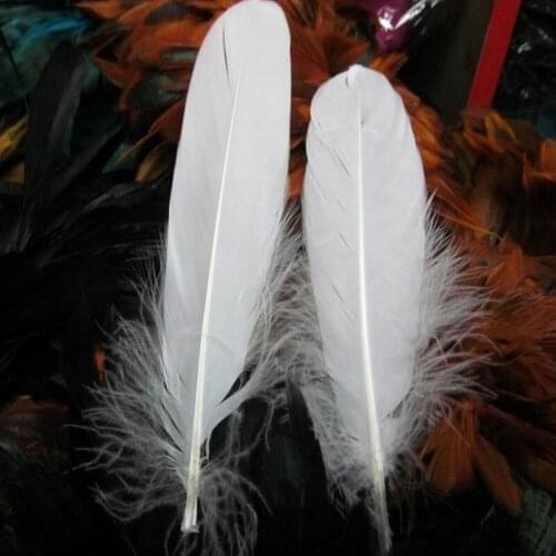 Goose 50pcs Natural Beautiful Dyed Soft Red 100% Feather 15-20cm/6-8inch for Carnival Diy Party Costume Mask Headress