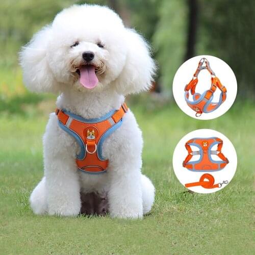 Mesh Breathable and Adjustable Vest Dog Harness Leash Walking Training Leash Chest Strape Pet Products