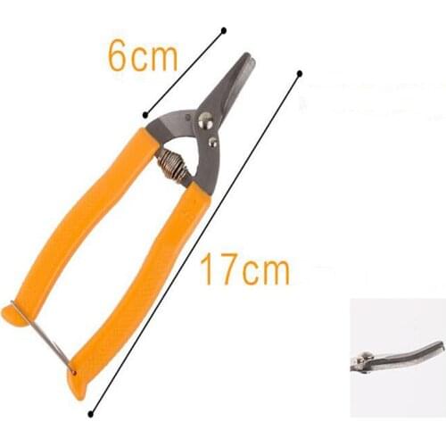 High quality orange scissors Curved mouth small fruit tree pruning shear fruit scissors for gardening fruit experts