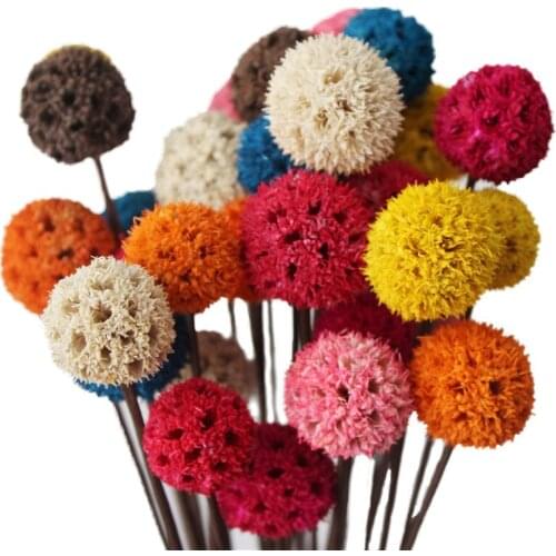 5Pcs Colorful Natural Dried Flowers Bouquet Real Passepartout Maple Fruit Small Dried Flower Home Wedding Decoration Photo Props