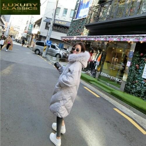 Jacket Women Thick Winter Duck Down Coat Long Oversize Down Jacket Female Real Raccoon Fur Hooded Warm Clothes LWL1023
