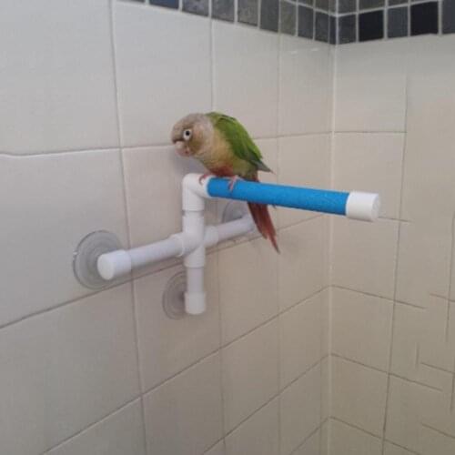 Durable Wall Sucker Bird Parrot Bathing Washing Standing Bracket Pet Toy Tool