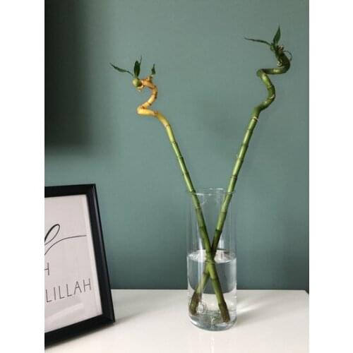 Modern Pasabahce Decorative Glass vase vase jarrón ваза vaso مزهرية