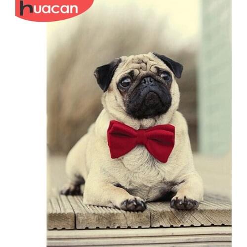 HUACAN Full Diamond Painting Animal 5D Painting Rhinestone Cross Stitch DIY Mosaic Diamond Dog Home Decoration