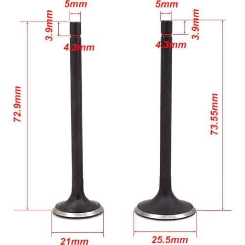 Motorcycle Engine Valve Intake Exhaust Stem Valve Oil Seal for QINGQI SUZUKI QS100 Leecy Rency 100cc