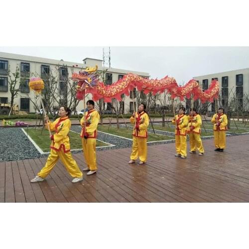 7m 6 student Size 5 Silk print Fabric DRAGON DANCE Flower Dragon Chinese Spring Day Folk Festival Halloween Mascot Costume