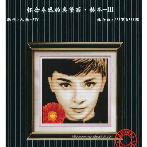 -rw171 30-30 Cross Stitch Set DIY Kit Embroidery Needlework Craft Packages Cotton Fabric Floss