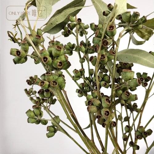 2pcs Dried Flowers Dried Fruit of Eucalyptus Fruit Soft Decoration and Interior christmas wreath centros de mesa para boda