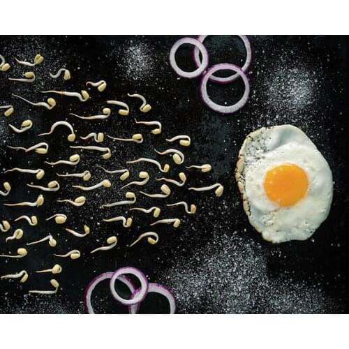 DIY Painting By Numbers Eggs Food Kit Oil Picture By Numbers 40x50cm Wall Art Painting on Canvas Home Decoration Gift