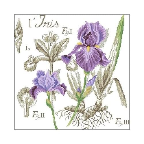 Shadow Flower-Purple Iris Needlework,For Embroidery,DIY 14CT Unprinted Arts Cross stitch kits Set Cross-Stitching Home Decor