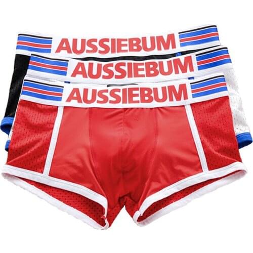 ZMPCARE Mens Silk Briefs