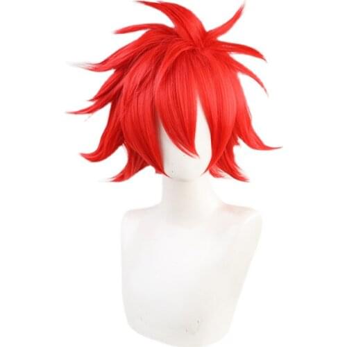 SK8 the Infinity Reki Cosplay Wig Heat Resistant Synthetic Hair Carnival Halloween Party Props