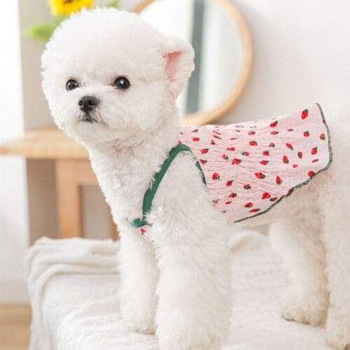 Cute Fruit Dog Dress Cat Pet Skirt Puppy Dresses Yorkshire Corgi Pomeranian Schnauzer Poodle Bichon Shih Tzu Dog Clothing Outfit