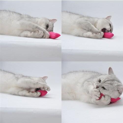 Dog Cat Toys Pet Puppy Chew Squeaker Chew Squeaker Plush Toys Cute Thumb Pet Toy With Catnip