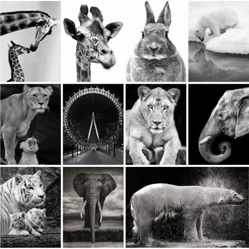 EverShine Diamond Painting Black White Elephant Diamond Embroidery Cross Stitch Animals Rhinestones Art Hobby Wall Decor