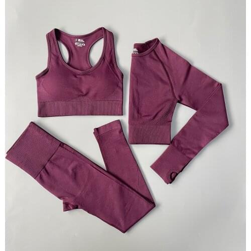 2/3PCS Seamless Women Yoga Set Workout Sportswear Gym Clothing Fitness Long Sleeve Crop Top High Waist Leggings Sports Suits