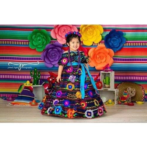 Mehofoto taco party photography background Mexican carnival cinco de mayo serape colorful stripe decor backdrop photocall prop