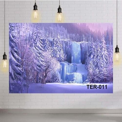 Frozen Backdrop Winter Snow Photography Backdrops Solid Color Backgrounds for Photo Studio Vinyl Cloth Photography Accessories