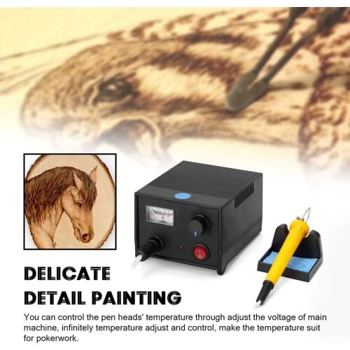 LH45-ZA1 Pointer Voltmeter Type Multifunctional Electric Gourd Wooden Pyrography Machine with 20pcs Heating Pen Heads