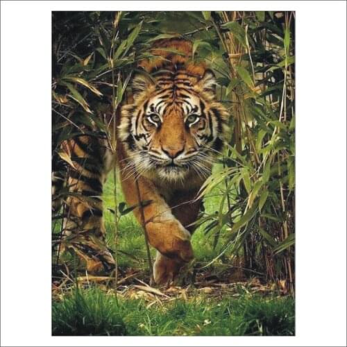 5D DIY Diamond Painting Jungle Tiger Mosaic Cross Stud Omni Drill 3D Diamond Painting Set Home Decoration Mural Gift T250