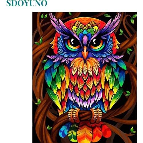 SDOYUNO 60x75cm Painting By Numbers Colourful Owl DIY Frameless pictures by numbers On Canvas Wall Art For Home Decor Animals