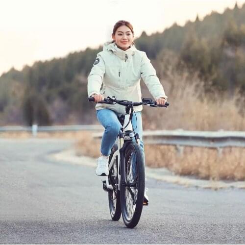 HIMO C26 Electric mountain bike 48V hidden lithium battery 250w rear drive motor electric bicycle electronic cycling emtb