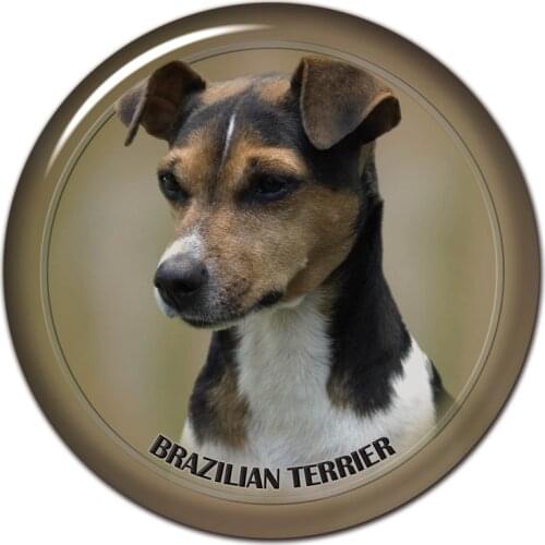 S30472# 13CM/15CM/17CM PVC Decal Brazillian Terrier Dog Car Sticker Waterproof for Bumper Rear Window Laptop Toilet