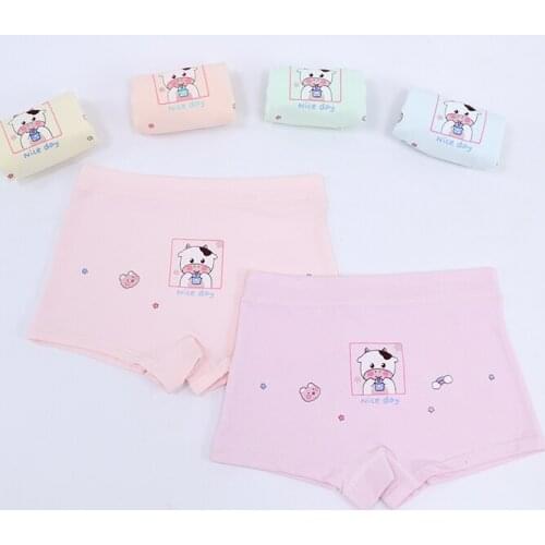Four Seasons Wear High Quality Lycra Cute Underwear Cartoon Girls' Underwear 10Pcs/Set Childrens Underwear