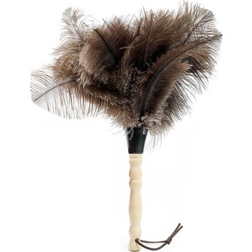 NEATMAX Dust Brushes