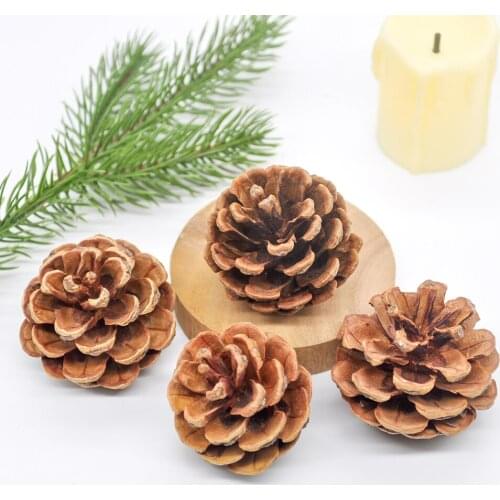 6Pcs Natural Dried Pinecone Christmas Tree Holiday Party Decoration Christmas Topper New Year Vase Filler Home Decoration