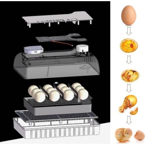 12 Egg Farm Hatchery Incubator Brooder Machine Hatchers Cheap Price Chicken Automatic Eggs Incubator pigeon Bird Quail Brooder
