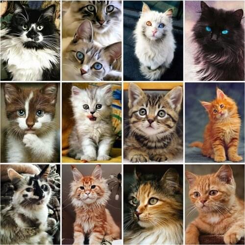 MomoArt Diamond Painting Cat Crafts Full Square Round Diamond Embroidery Animal Rhinestone Pictures Home Decor Gift