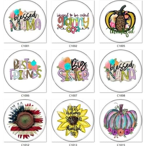 Sister mama nana flower pumpkin Thanksgiving 12mm/18mm/20mm/25mm Round photo glass cabochon demo flat back Making findings C1005