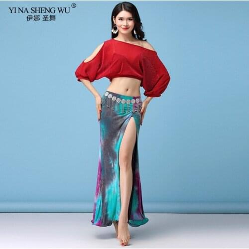 Women Belly Professional Silver line Net Yarn Top / Long Cotton Skirt Set Belly Dance Dance Set For Girls Bellydance Top Skirt