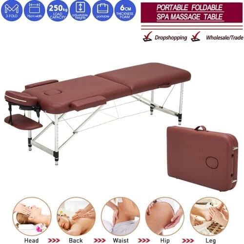 Folding Beauty Bed Professional Portable Spa Massage Tables Lightweight Foldable with Bag Salon Furniture Aluminum alloy