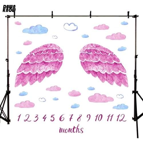 DAWNKNOW Pink Angel Wings Vinyl Photography Background Month Day Cartoon Cloud Backdrops For Newborn Photo Studio lv1860