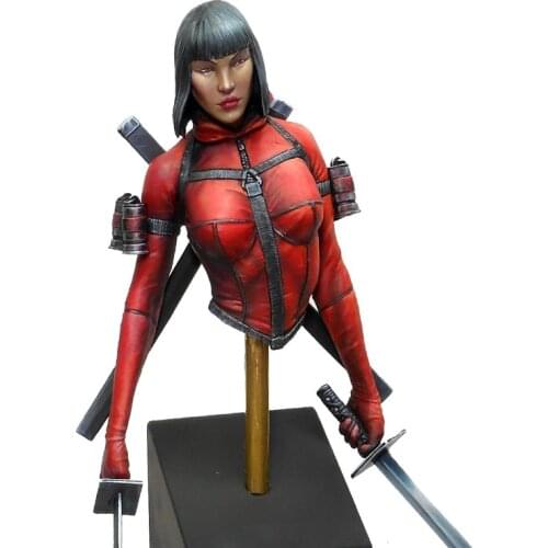 1/15 55mm Resin Model bust GK Ninja Lady Unassembled and unpainted kit
